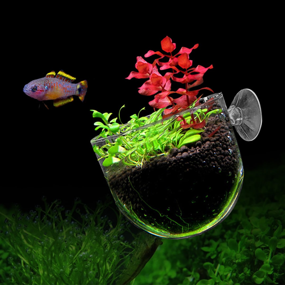 FluxAqua - All your aquarium needs available in one stop shop
